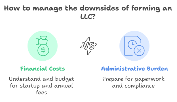 Downsides of an LLC